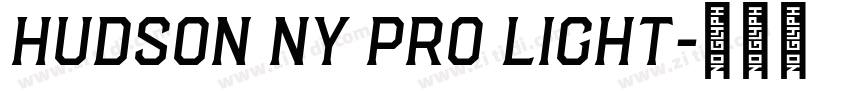 Hudson NY Pro Light字体转换